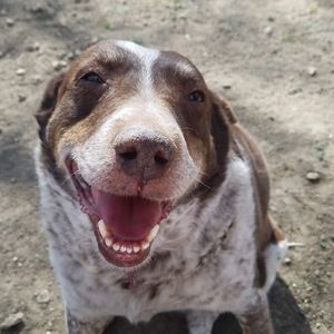 Meet your Posher, Jamelle